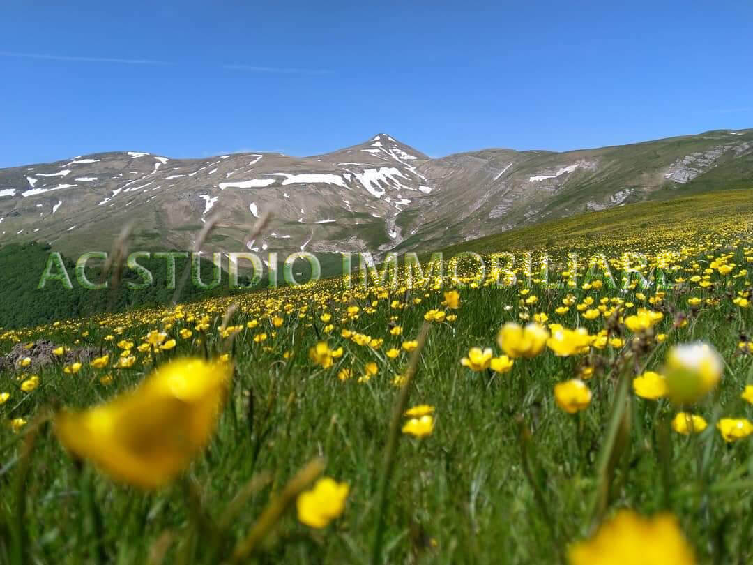 AC Studio Immobiliare Real Estate Agency